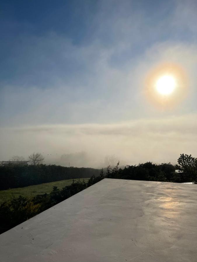 Apartament La Terrasse Sarichioi Bagian luar foto